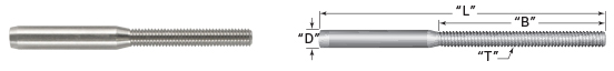 Schematic Picture
